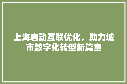 上海启动互联优化，助力城市数字化转型新篇章