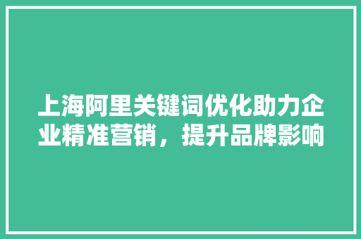 上海阿里关键词优化助力企业精准营销，提升品牌影响力