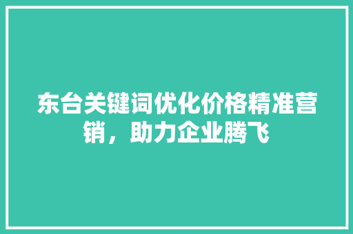 东台关键词优化价格精准营销，助力企业腾飞