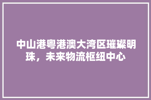 中山港粤港澳大湾区璀璨明珠，未来物流枢纽中心