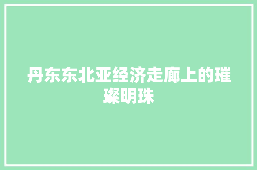 丹东东北亚经济走廊上的璀璨明珠 编程语言