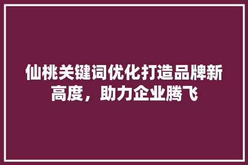 仙桃关键词优化打造品牌新高度，助力企业腾飞 电脑基础