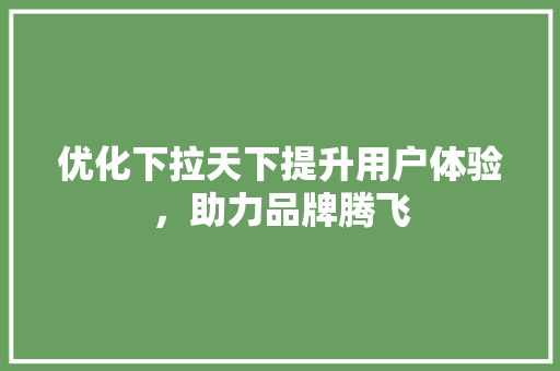 优化下拉天下提升用户体验，助力品牌腾飞