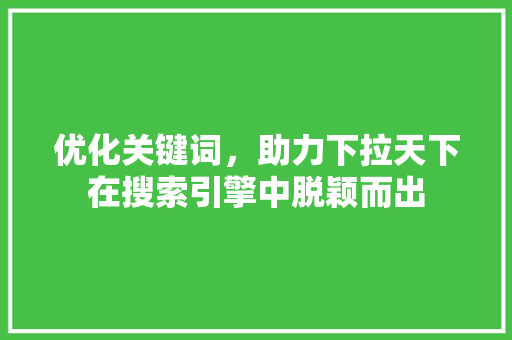 优化关键词，助力下拉天下在搜索引擎中脱颖而出