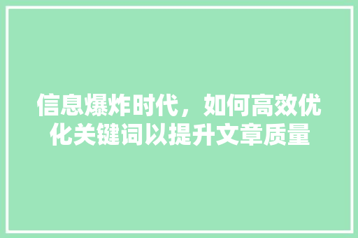 信息爆炸时代，如何高效优化关键词以提升文章质量