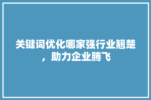 关键词优化哪家强行业翘楚，助力企业腾飞 电脑基础