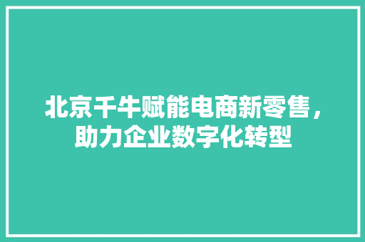 北京千牛赋能电商新零售，助力企业数字化转型
