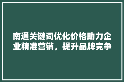 南通关键词优化价格助力企业精准营销，提升品牌竞争力