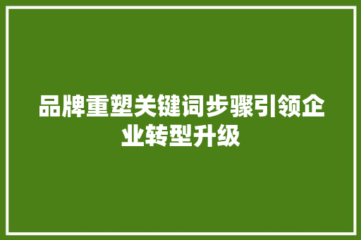 品牌重塑关键词步骤引领企业转型升级