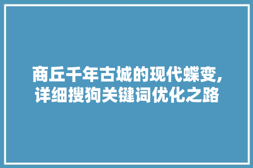 商丘千年古城的现代蝶变,详细搜狗关键词优化之路