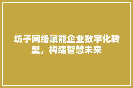 坊子网络赋能企业数字化转型，构建智慧未来