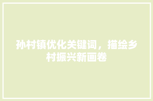 孙村镇优化关键词，描绘乡村振兴新画卷