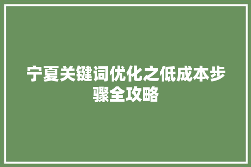 宁夏关键词优化之低成本步骤全攻略 宁夏关键词优化之低成本步骤全攻略