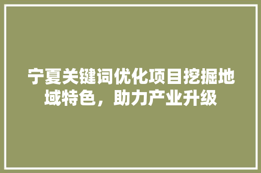 宁夏关键词优化项目挖掘地域特色，助力产业升级