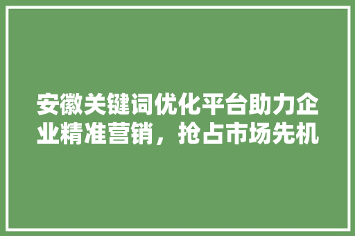 安徽关键词优化平台助力企业精准营销，抢占市场先机