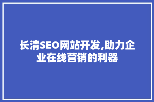 长清SEO网站开发,助力企业在线营销的利器