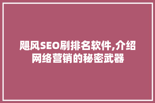飓风SEO刷排名软件,介绍网络营销的秘密武器 编程语言
