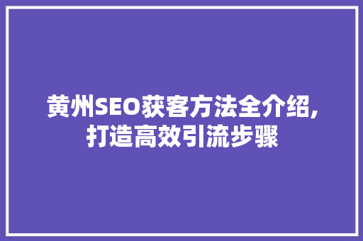 黄州SEO获客方法全介绍,打造高效引流步骤