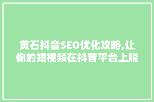 黄石抖音SEO优化攻略,让你的短视频在抖音平台上脱颖而出