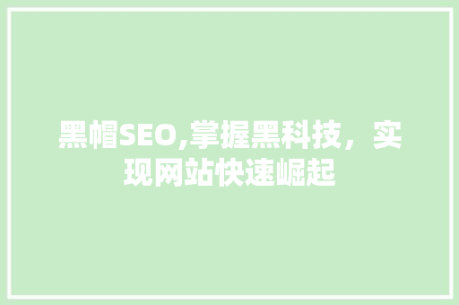 黑帽SEO,掌握黑科技，实现网站快速崛起