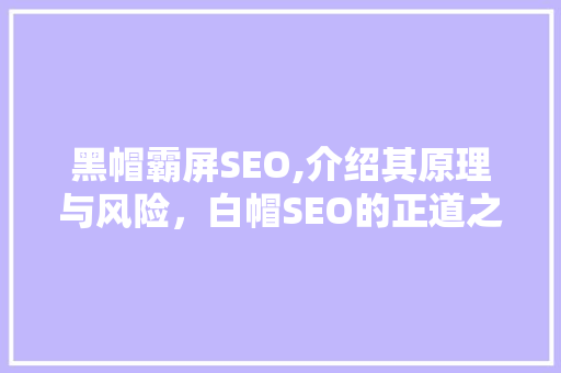 黑帽霸屏SEO,介绍其原理与风险，白帽SEO的正道之路