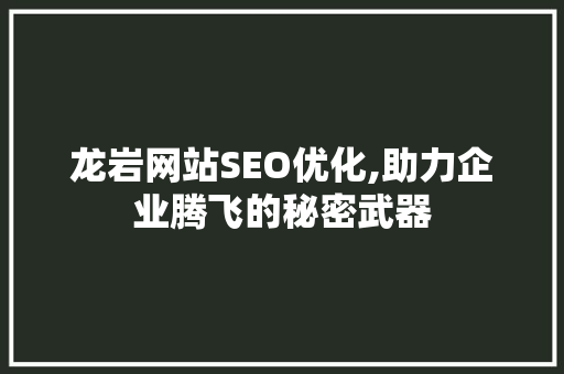 龙岩网站SEO优化,助力企业腾飞的秘密武器