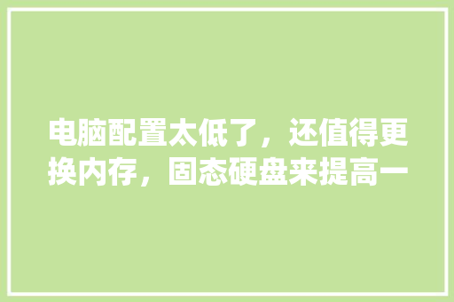 电脑配置太低了，还值得更换内存，固态硬盘来提高一下打开表格和、软件、网页的速度么_怎么看电脑哪些配置不够用
