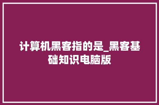 计算机黑客指的是_黑客基础知识电脑版