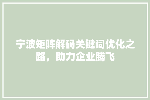 宁波矩阵解码关键词优化之路，助力企业腾飞