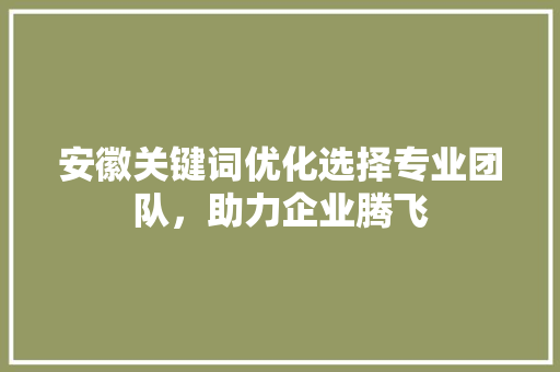安徽关键词优化选择专业团队，助力企业腾飞