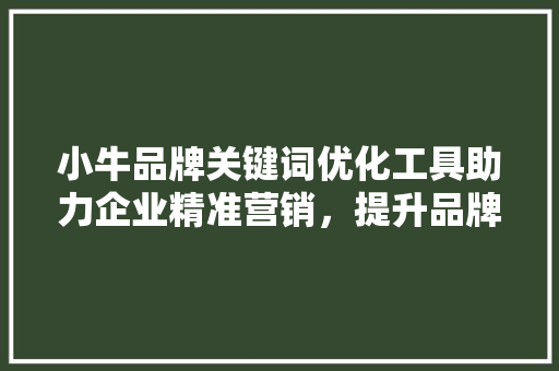 小牛品牌关键词优化工具助力企业精准营销，提升品牌影响力