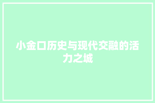 小金口历史与现代交融的活力之城 网络技术