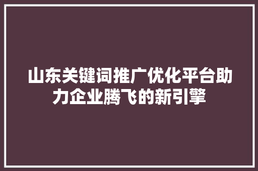 山东关键词推广优化平台助力企业腾飞的新引擎