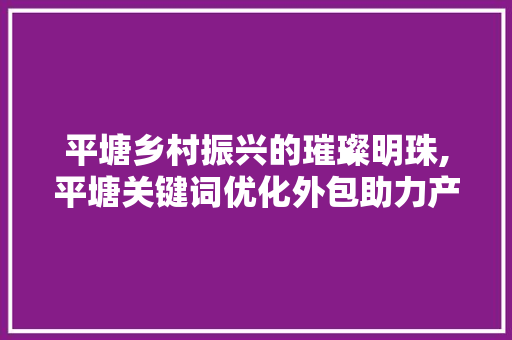 平塘乡村振兴的璀璨明珠,平塘关键词优化外包助力产业腾飞