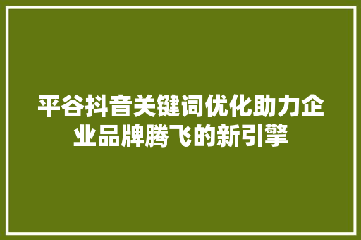 平谷抖音关键词优化助力企业品牌腾飞的新引擎