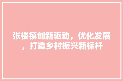 张楼镇创新驱动，优化发展，打造乡村振兴新标杆