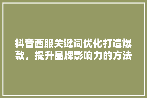 抖音西服关键词优化打造爆款，提升品牌影响力的方法