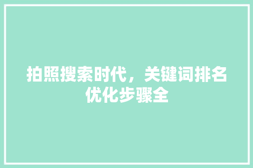 拍照搜索时代，关键词排名优化步骤全