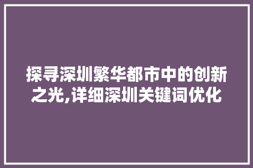 探寻深圳繁华都市中的创新之光,详细深圳关键词优化效果