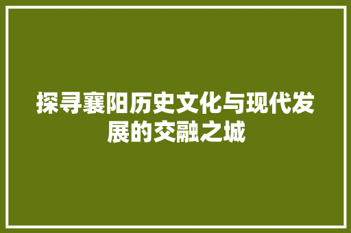 探寻襄阳历史文化与现代发展的交融之城