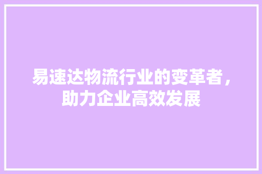 易速达物流行业的变革者，助力企业高效发展