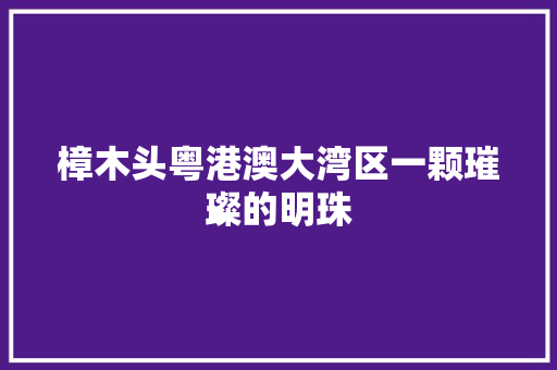 樟木头粤港澳大湾区一颗璀璨的明珠