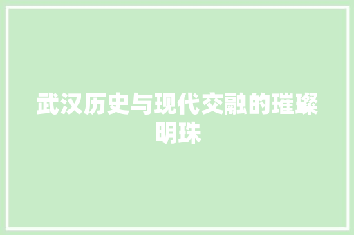 武汉历史与现代交融的璀璨明珠