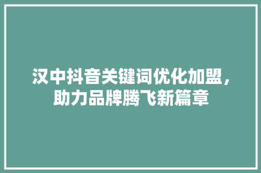 汉中抖音关键词优化加盟，助力品牌腾飞新篇章