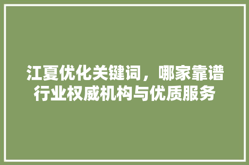江夏优化关键词，哪家靠谱行业权威机构与优质服务