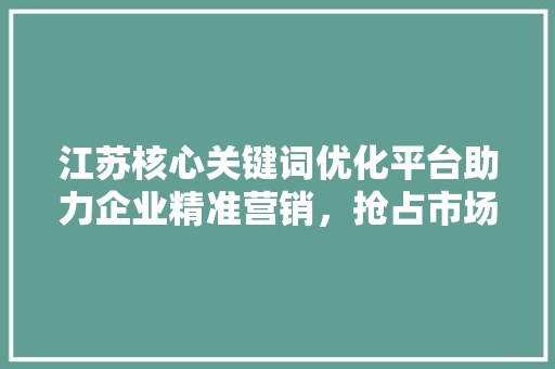 江苏核心关键词优化平台助力企业精准营销，抢占市场先机
