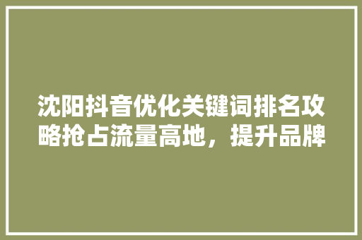 沈阳抖音优化关键词排名攻略抢占流量高地，提升品牌影响力