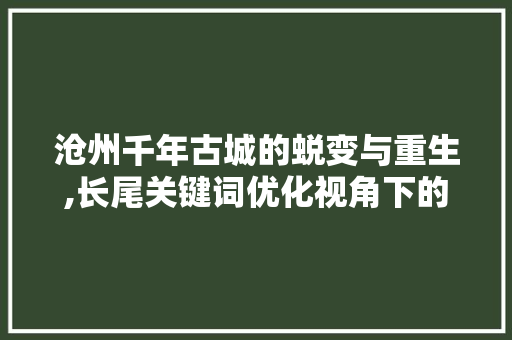 沧州千年古城的蜕变与重生,长尾关键词优化视角下的城市发展