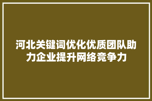 河北关键词优化优质团队助力企业提升网络竞争力