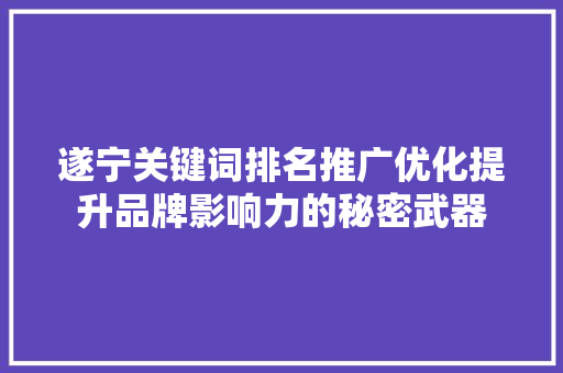 遂宁关键词排名推广优化提升品牌影响力的秘密武器